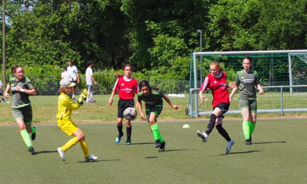 Neue C-Juniorinnen: 6:0 in Großostheim