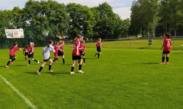 Neue D-Juniorinnen: Wieder torreiche Begegnung mit den Kickers