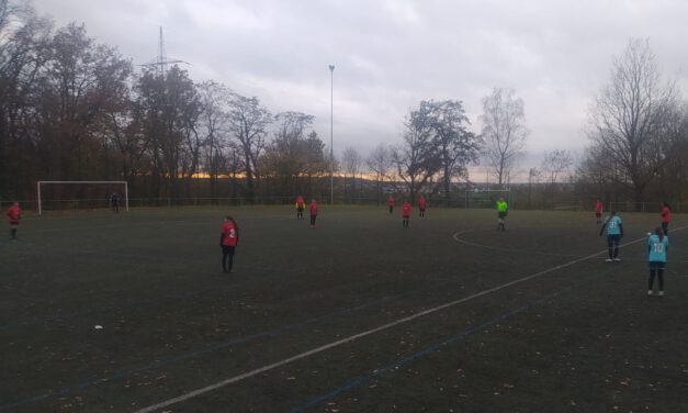 B-Juniorinnen: 2:0 im Derby gegen Großwallstadt
