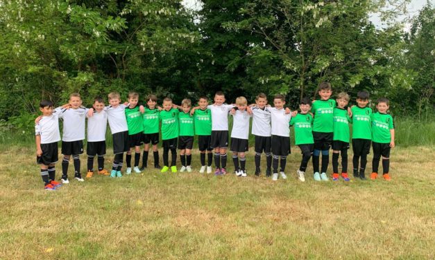 Fußball-Festival der F2 des TSV Mainaschaff begeistert Groß und Klein