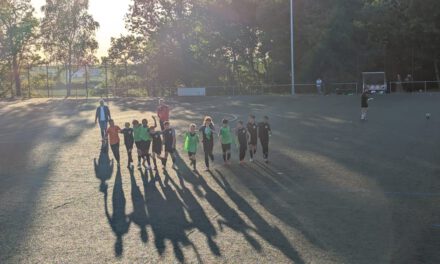 U13: Verdienter Heimsieg gegen JFG Spessarttor